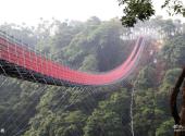 南投猴探井风景区旅游攻略 之 吊桥