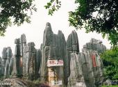 昆明石林风景区旅游攻略 之 石林胜景