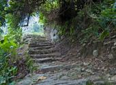 琼中百花岭风景区旅游攻略 之 登山道