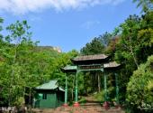 安庆大龙山景区旅游攻略 之 大龙山景区