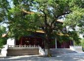 齐齐哈尔大乘寺旅游攻略 之 藏经楼