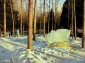 大连市劳动公园旅游攻略 之 冰雪乐园
