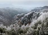 三门峡甘山国家森林公园旅游攻略 之 冬之景