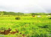 赤峰乌兰布统草原旅游攻略 之 雨后美景