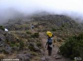 乞力马扎罗山风景区旅游攻略 之 石南荒原和高沼草原带