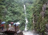江西三百山风景名胜区旅游攻略 之 旱峰滩