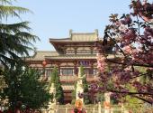 西安青龙寺旅游攻略 之 春色