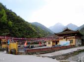 平武白马寨旅游攻略 之 遛马场