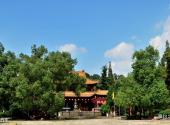 临安青山湖旅游攻略 之 瑞竹寺