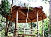 福建莆田九龙谷旅游攻略 之 相思亭