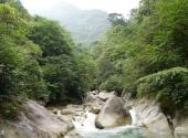 广西千家洞国家级自然保护区旅游攻略 之 溪流