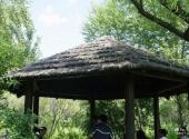 嫩江农场现代农业旅游区旅游攻略 之 小亭