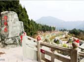 南充阆中古城旅游攻略 之 推背园