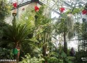 西安植物园旅游攻略 之 热带亚热带植物温室