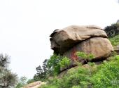 莱芜雪野风景名胜区旅游攻略 之 神蛙石