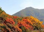 邢台云梦山景区旅游攻略 之 红叶