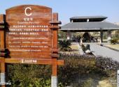 广州花都石头记矿物园旅游攻略 之 观音亭神宫
