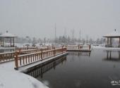 栾城樱花公园旅游攻略 之 雪景