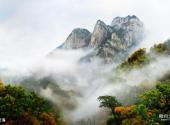 岳西明堂山风景区旅游攻略 之 云海