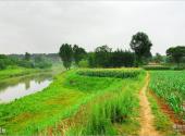 西安鲸鱼沟风景区旅游攻略 之 风景