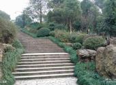 温州翠微山公园旅游攻略 之 石阶