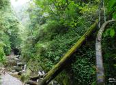 贵州亚木沟风景区旅游攻略 之 峡谷