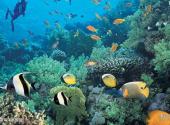 三亚美天涯热带海洋世界旅游攻略 之 热带海洋水族馆