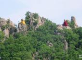 丹东五龙山景区旅游攻略 之 青松