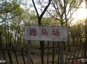 宿迁嶂山森林公园旅游攻略 之 跑马场