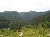 奉新百丈山萝卜潭风景区旅游攻略 之 华林书院