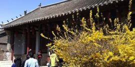山东地下大峡谷旅游攻略