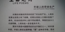 西安广新园民族村旅游攻略