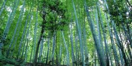 彭山县彭祖故里旅游攻略