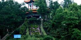 抚顺皇家海洋乐园旅游攻略