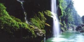 深圳仙湖植物园旅游攻略