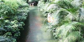 盘锦中兴公园旅游攻略