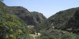 长汀三元阁旅游攻略