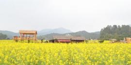 珠海斗门古街旅游攻略