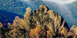 临江花山国家森林公园旅游攻略
