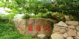 新宾神树风景区旅游攻略