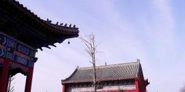 濮阳世锦园旅游攻略