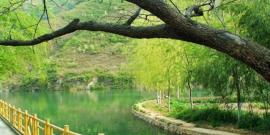 濮阳绿色庄园景区旅游攻略