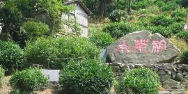 青海峡群寺森林公园旅游攻略