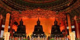 广东宝趣玫瑰世界旅游攻略