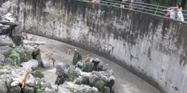 青海玛多古城旅游攻略
