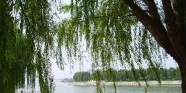 张家界大峽谷旅游攻略