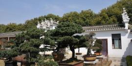 抚州南丰紫霄观漂流风景区旅游攻略