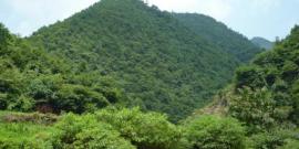 灵昆九村生态园旅游攻略