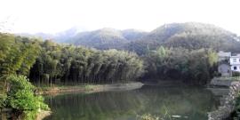 眉山青神中国竹艺城旅游攻略