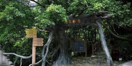佛山顺德罗浮宫国际家具艺术博览中心旅游攻略